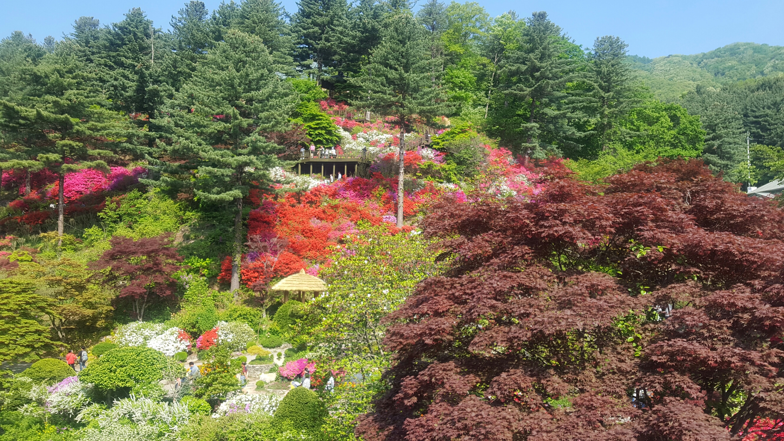 20170505_092648.jpg