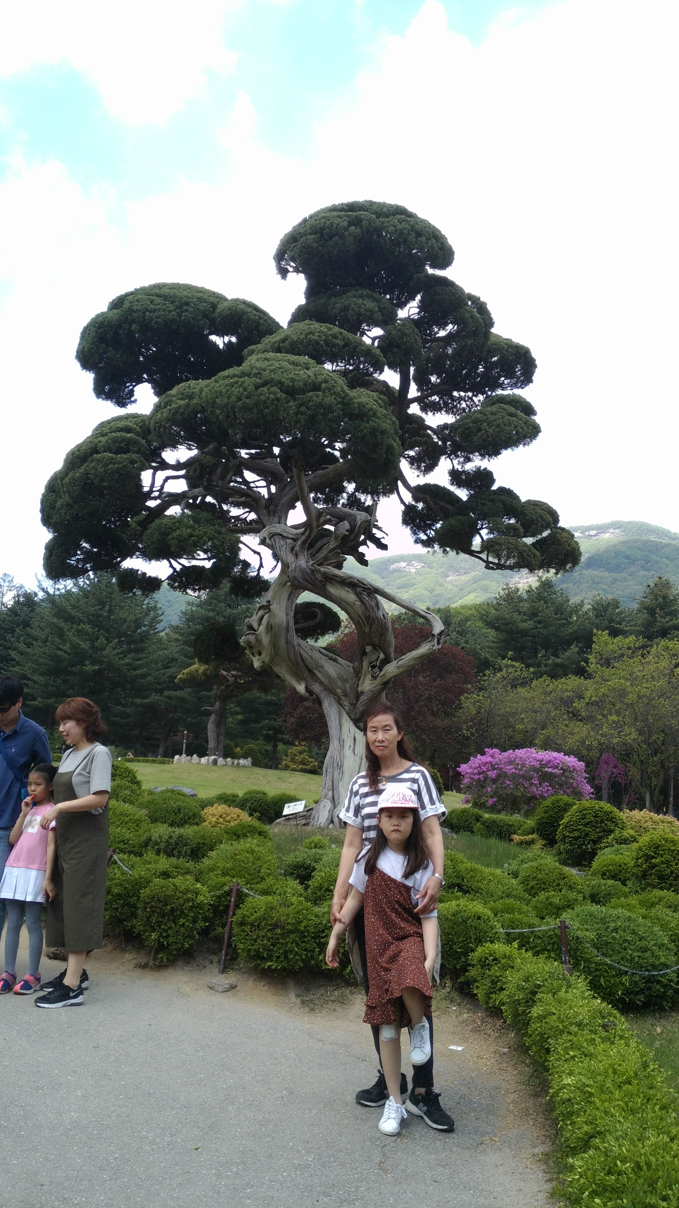 2017-05-05 11.19.07.jpg